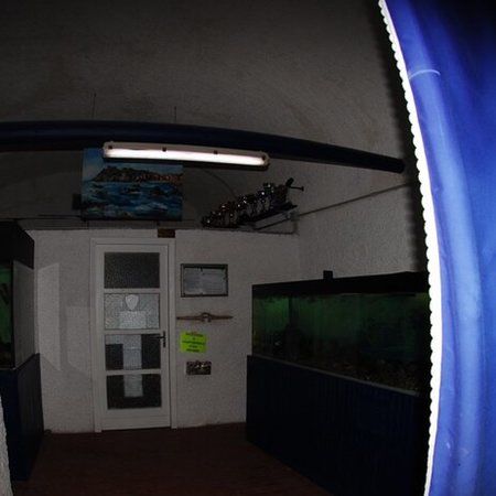 Acquario Sestri Levante